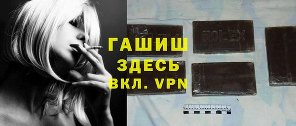 хмурый Няндома