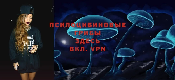 ешки Арсеньев