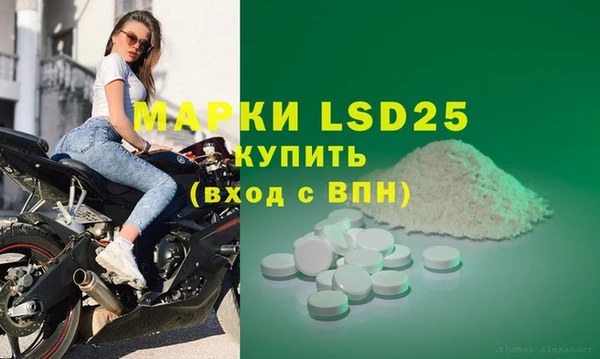 хмурый Няндома