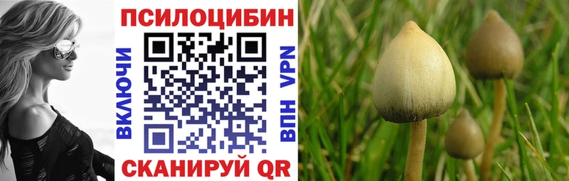 кракен зеркало  Саянск  Галлюциногенные грибы Psilocybe 